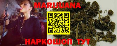 сатива Нальчик