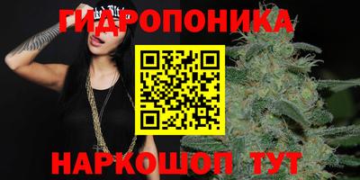 сатива Нальчик