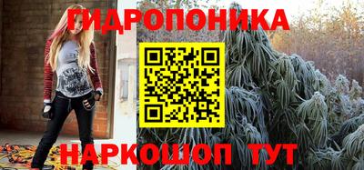 сатива Нальчик