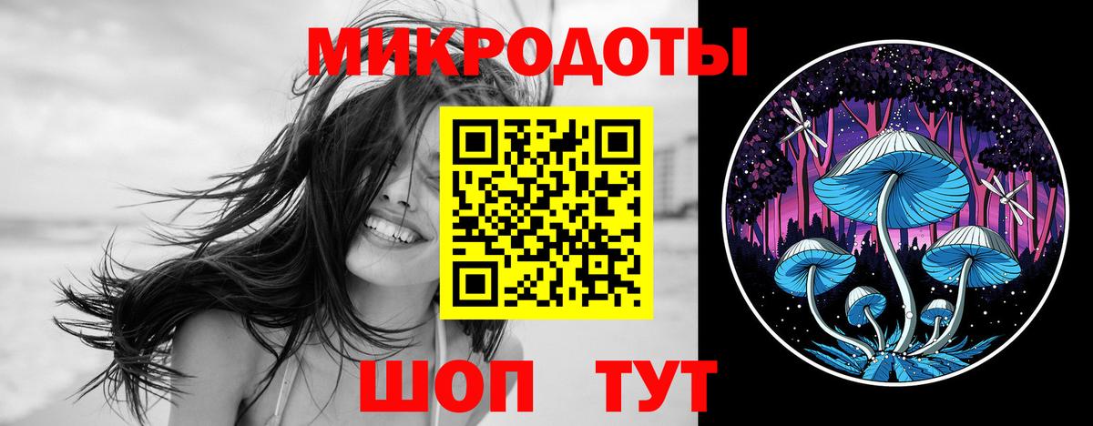 Галлюциногенные грибы Psilocybine cubensis Татарск