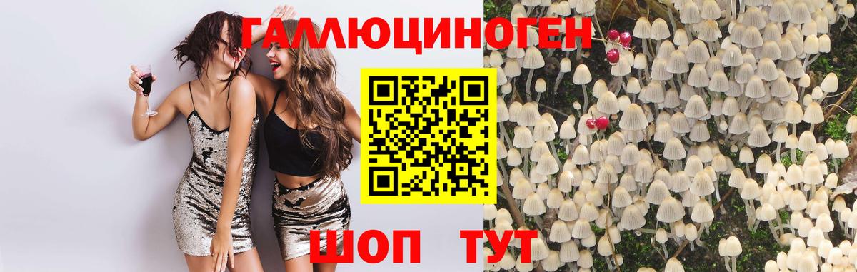 Псилоцибиновые грибы Psilocybe  Вход с VPN  Татарск 